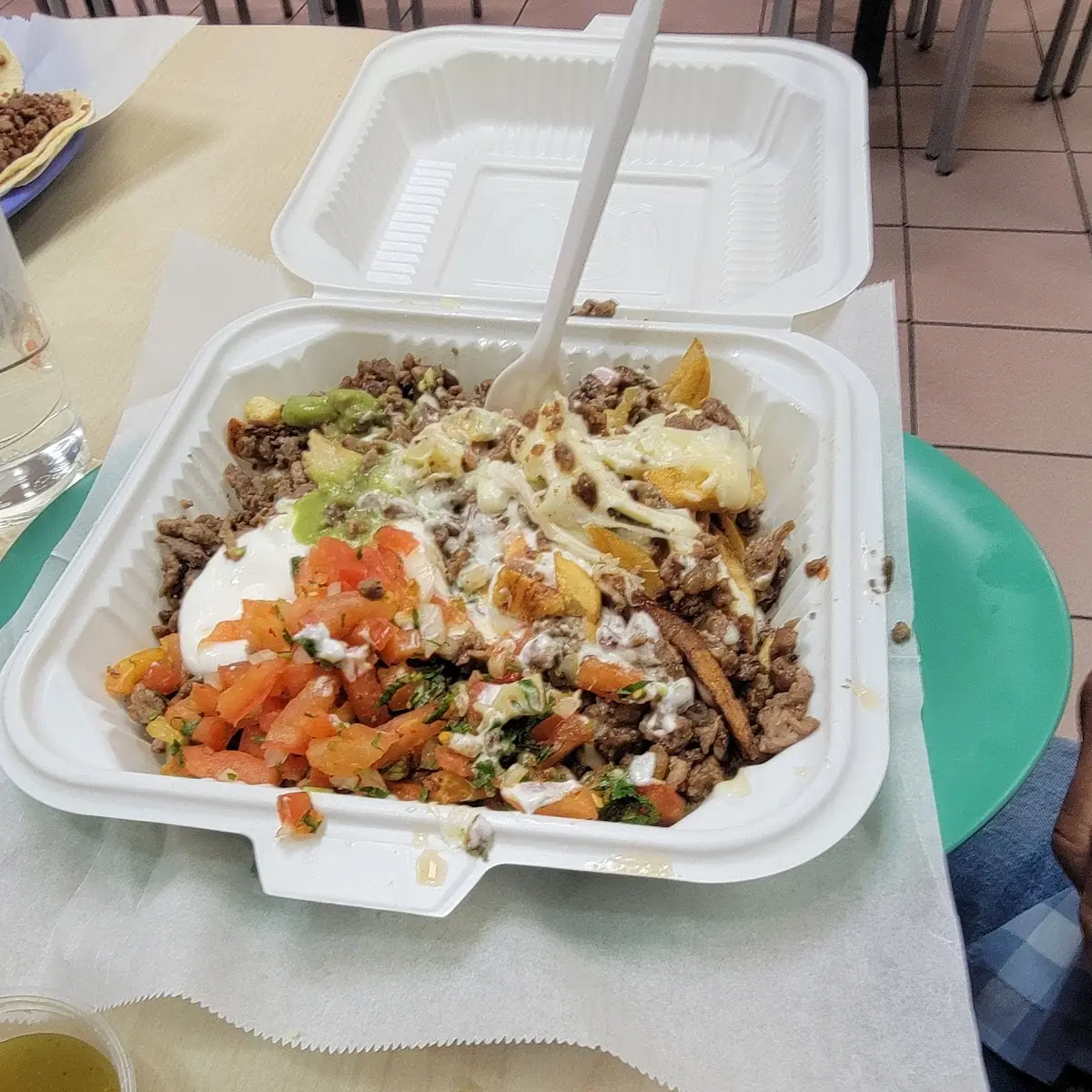 Carne Asada Fries