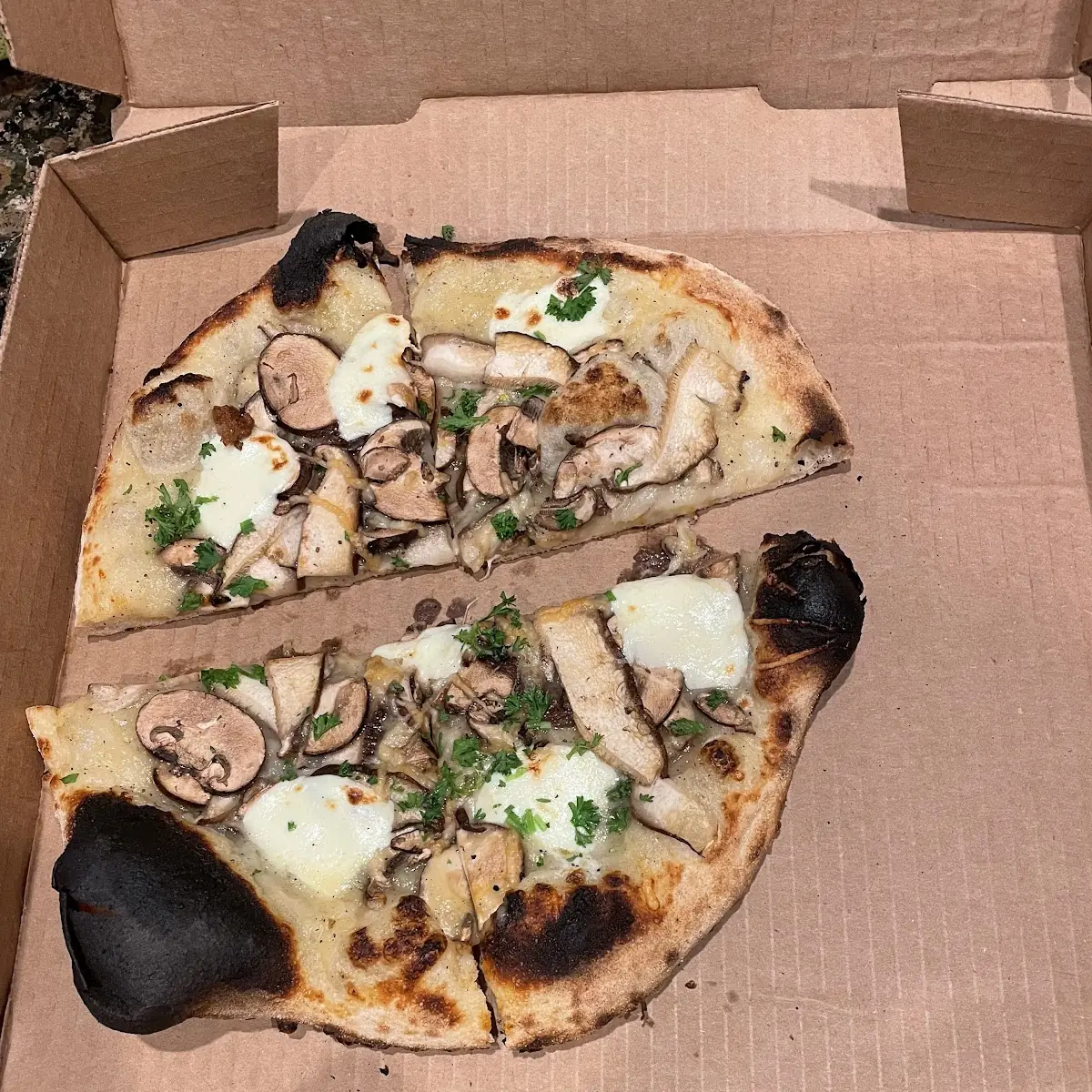 Mushroom Pizza