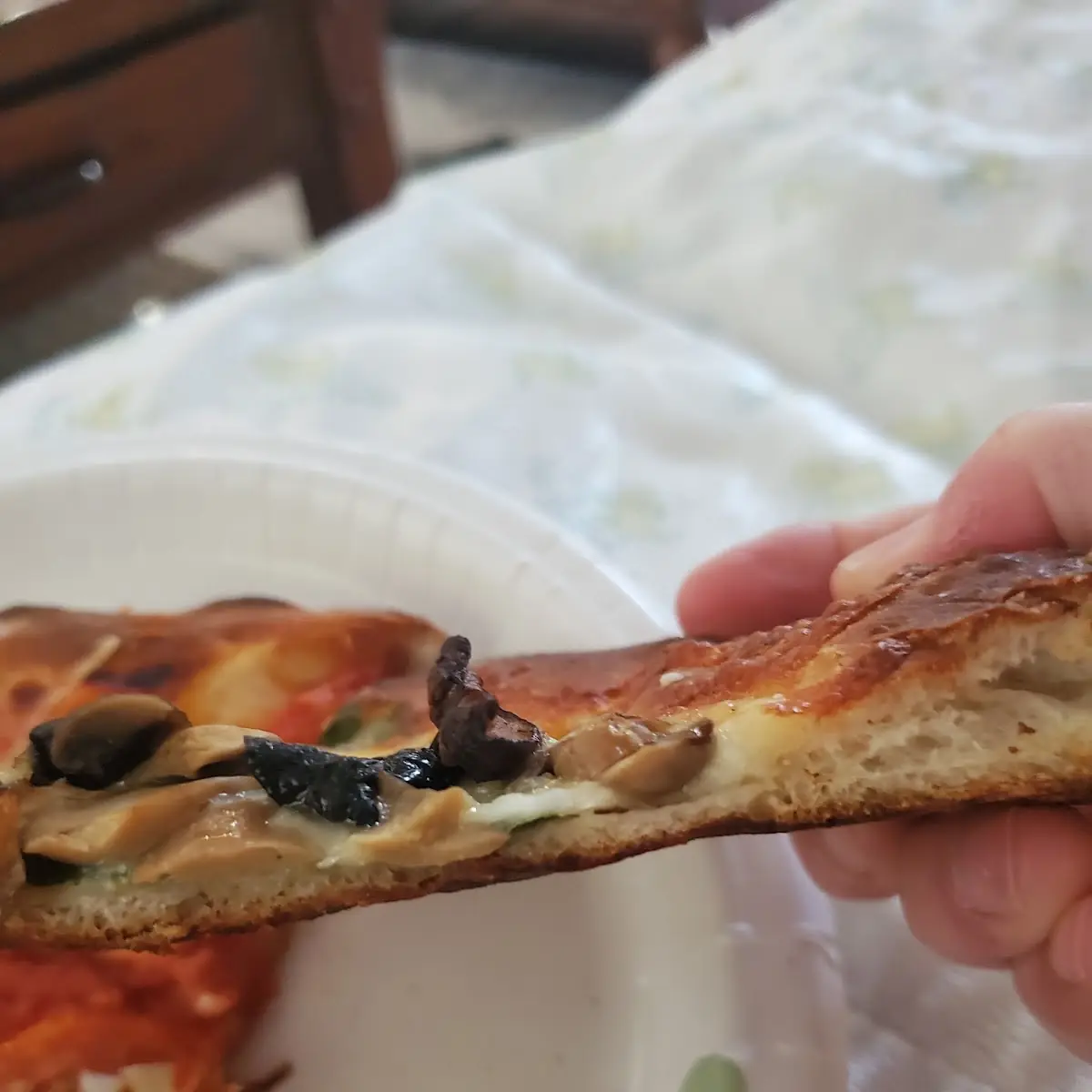 Pizza with Mushroom Pizza