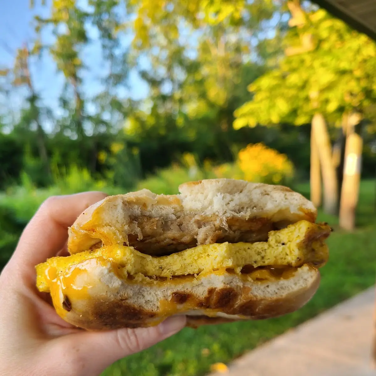 Breakfast Sandwich