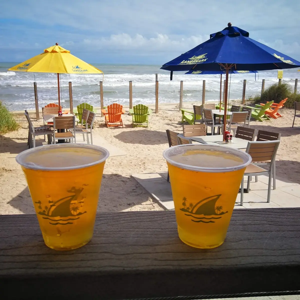 Landshark Draft Beer