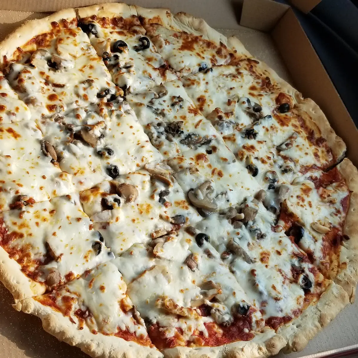 Thin Crust Cheese Black Olive and Mushroom