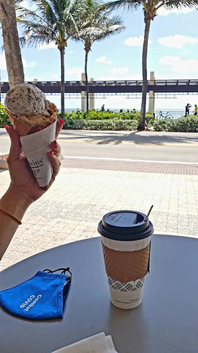 Coconut Chocolate Ice Cream