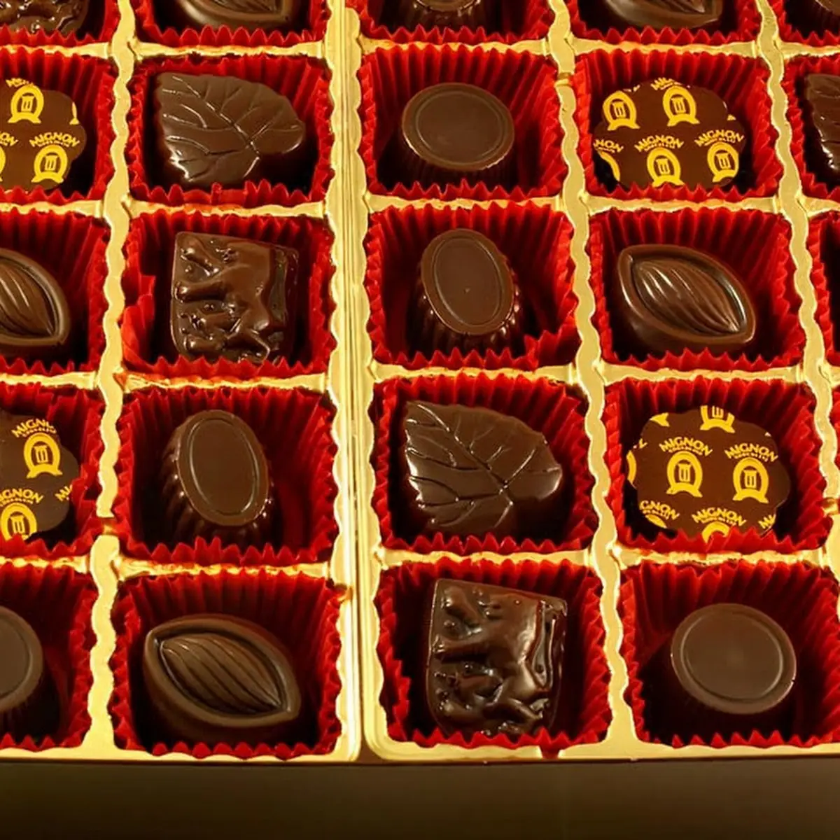 Dark Chocolate Collection