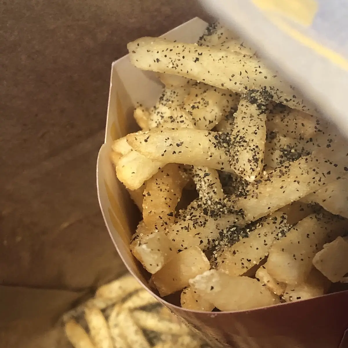 World Famous Fries