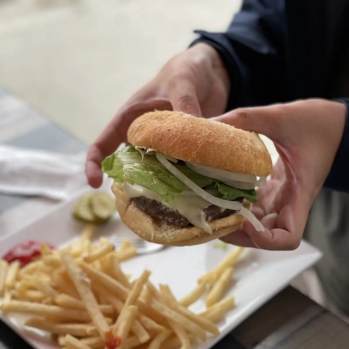 Buffalo Burger