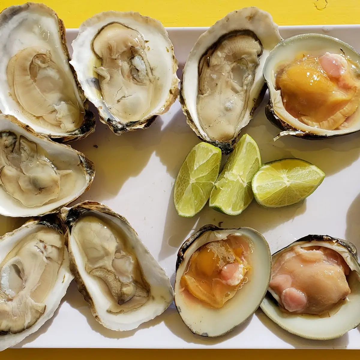 Ostras & Almejas Frescas