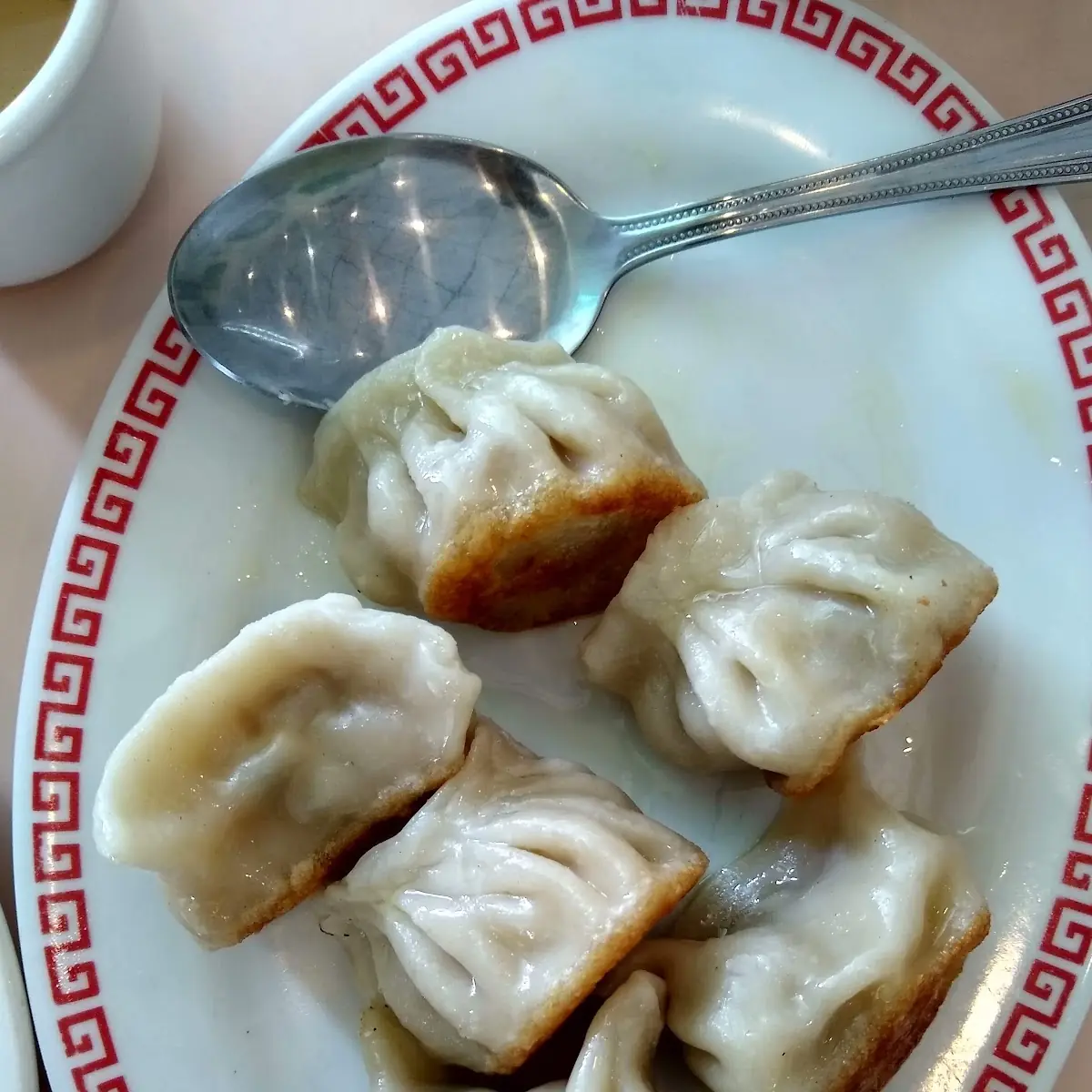 Pan Fried Dumplings