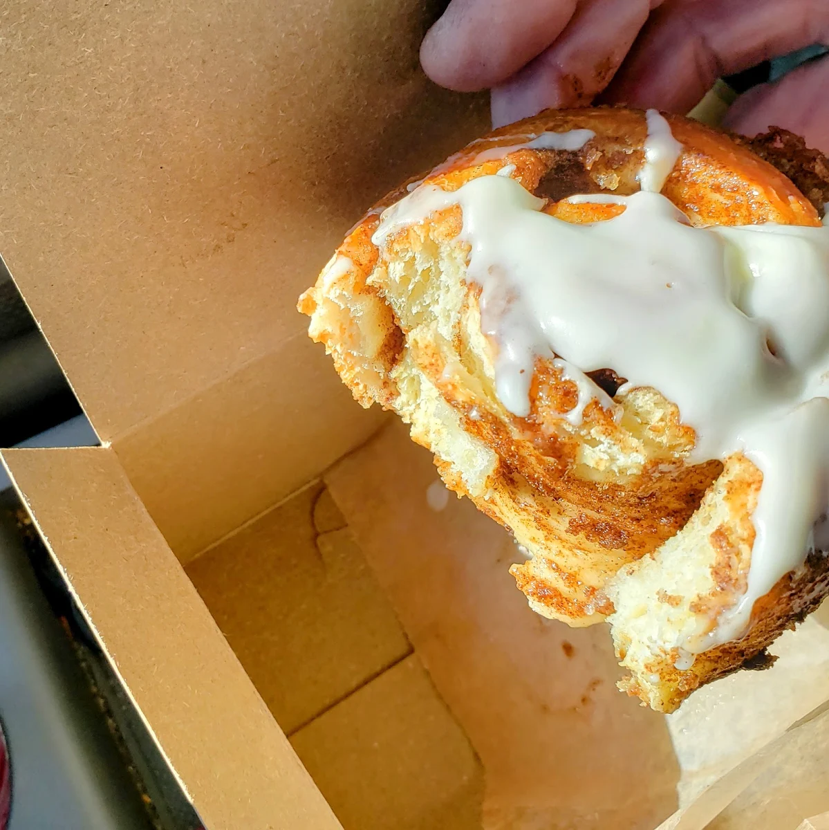 Cinnamon Bun