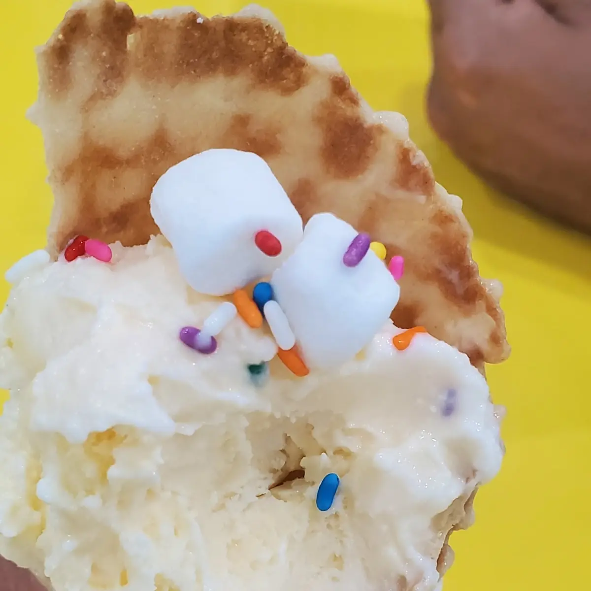 Scoop of Vanilla Ice Cream