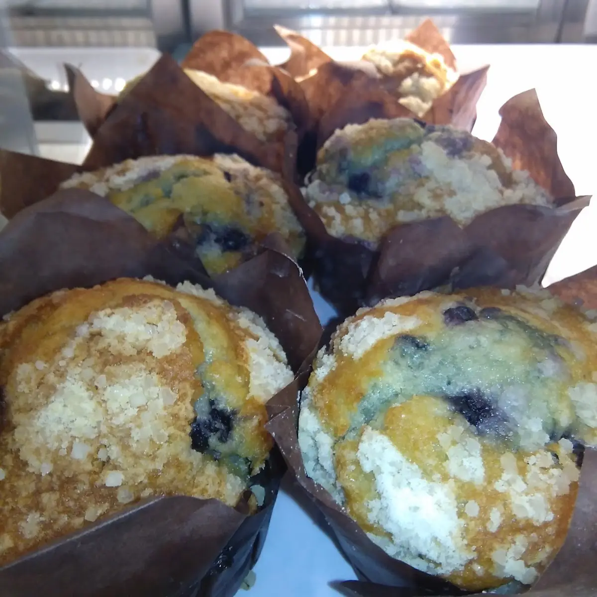 Blueberry Muffin
