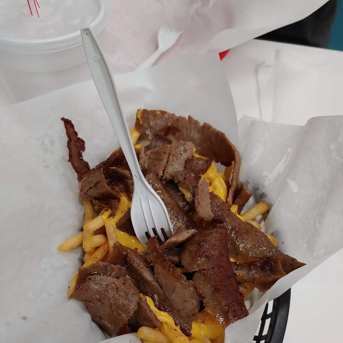 Gyro Cheese Fries