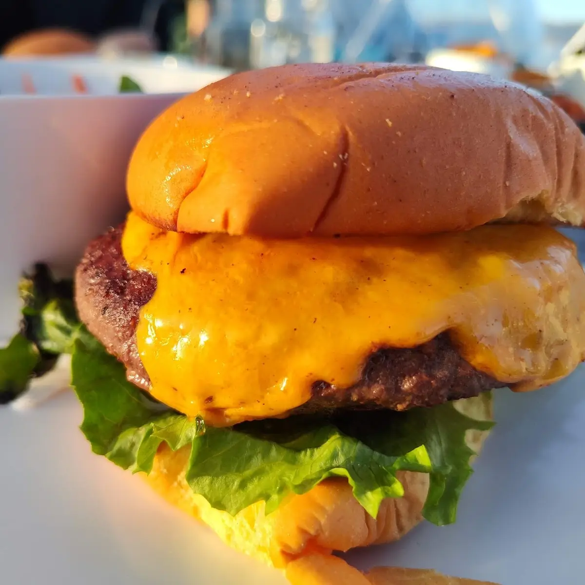 Wagyu Classic Burger & Side Salad