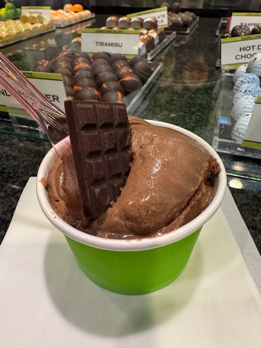 Chocolate Ice Cream