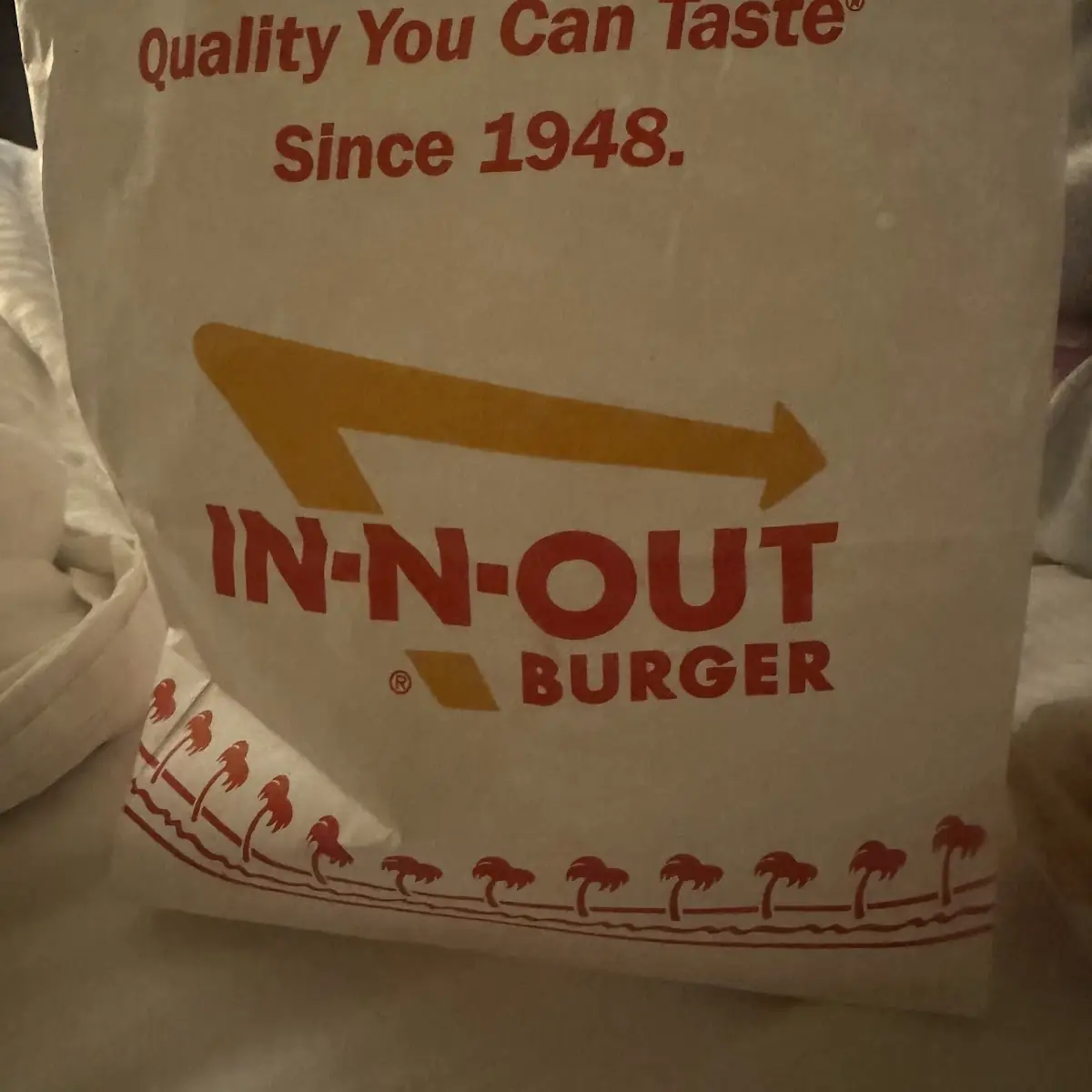 Double Double Cheeseburger Combo in the Bag to Go