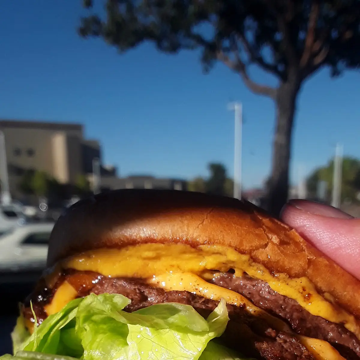 Double Double with Mustard Extra Lettuce and Grilled Onions Dabomb
