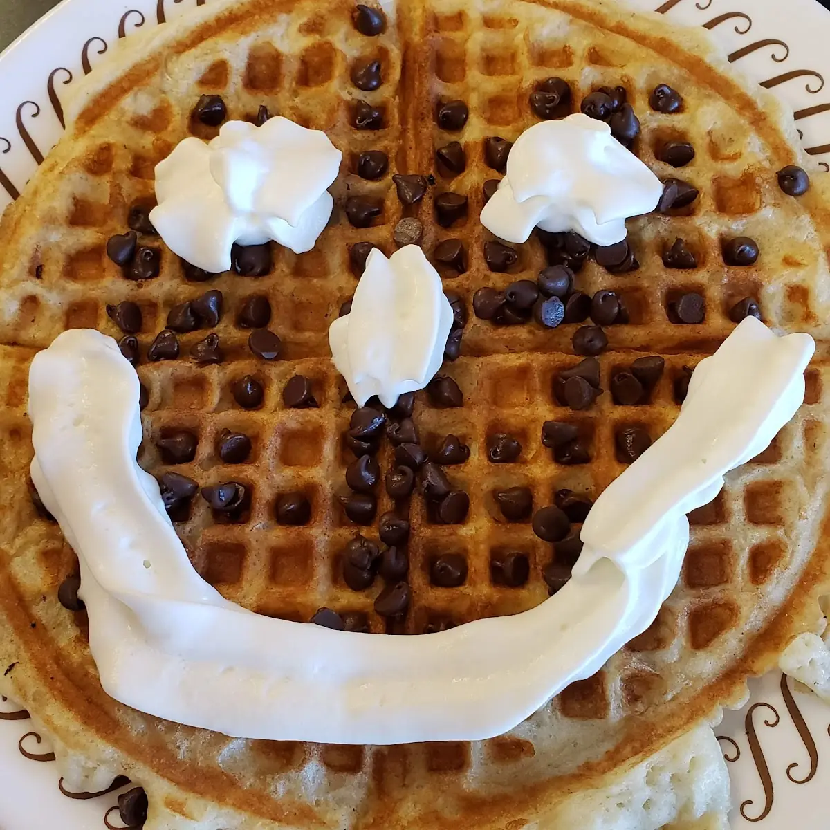 Chocolate Chip Waffle