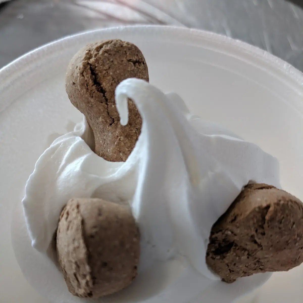 Doggie Sundae
