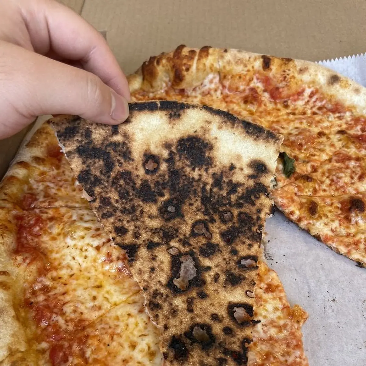 Cheese Pizza
