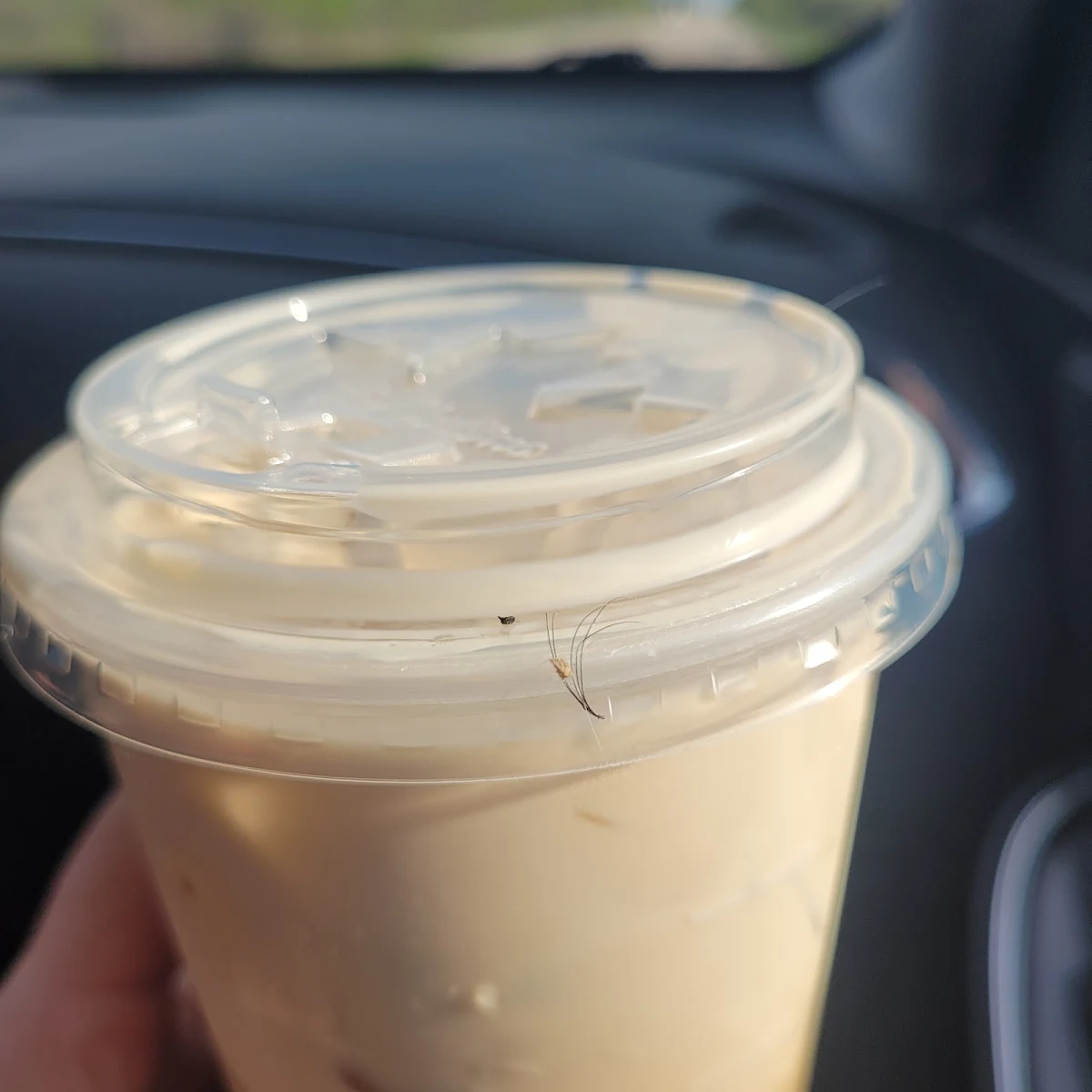 Cold Brew Feat Eyelash