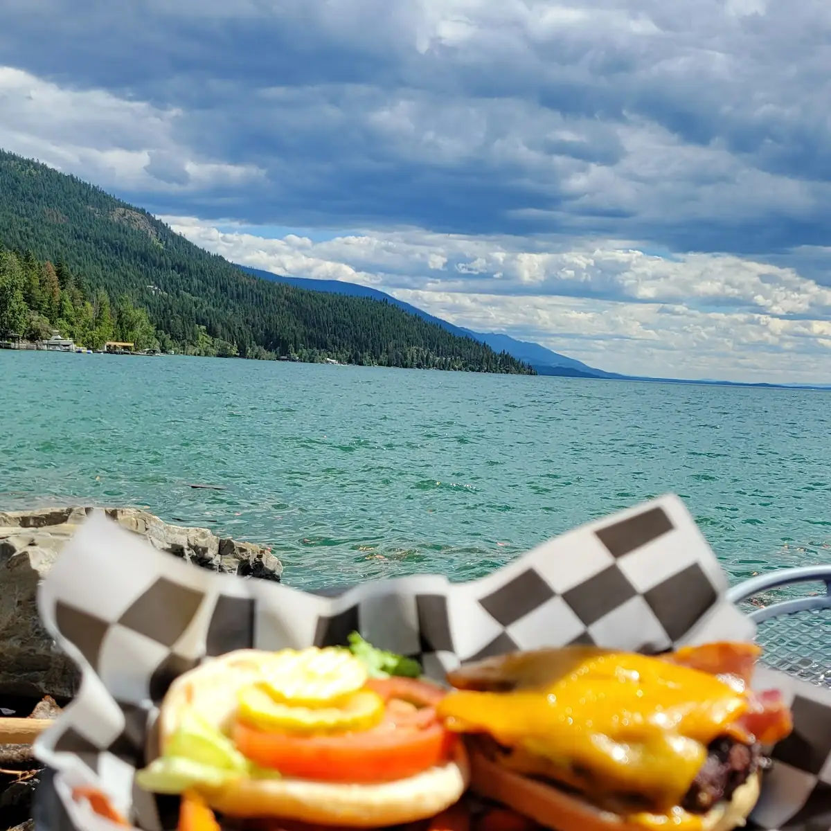 Bison Burger