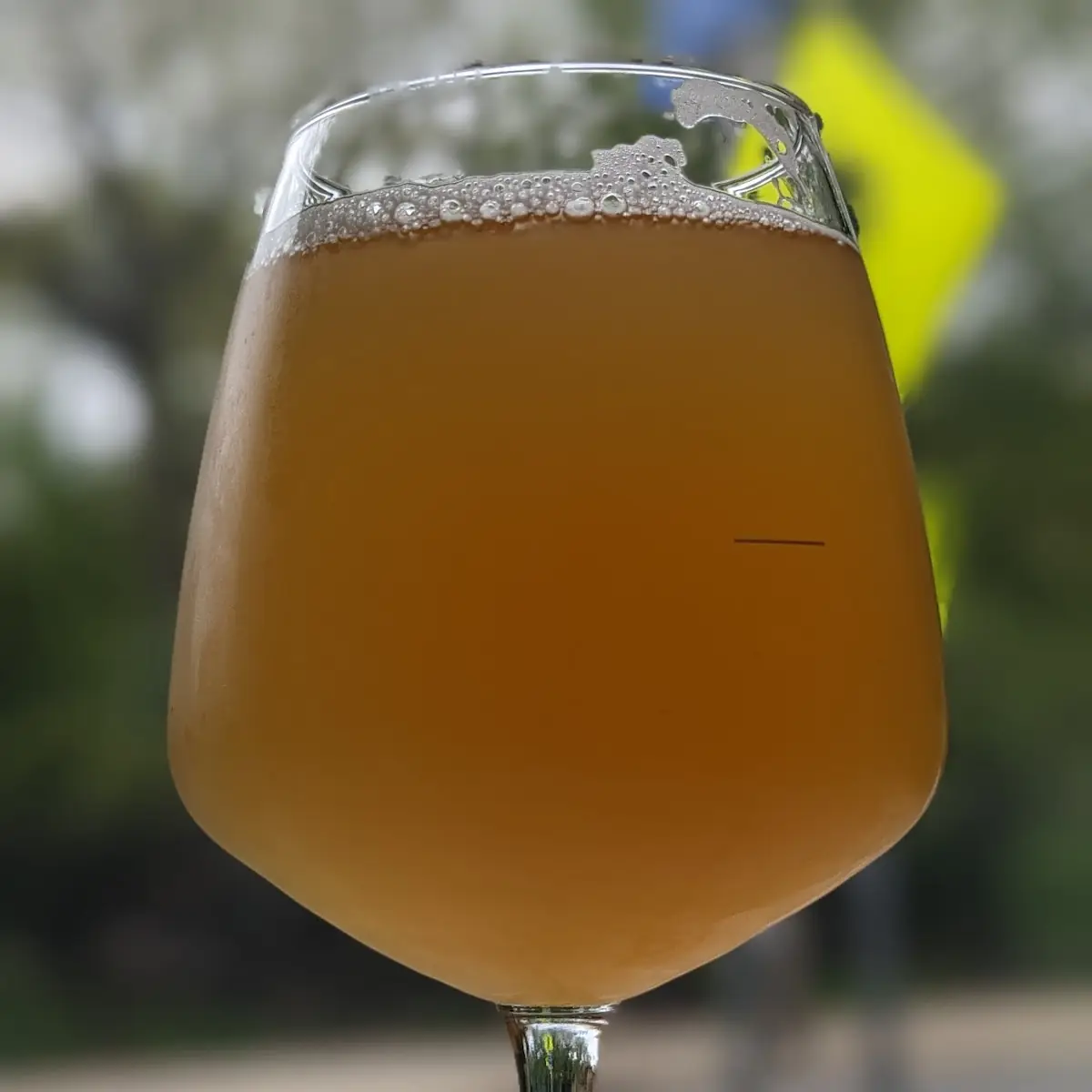 Hazy IPA