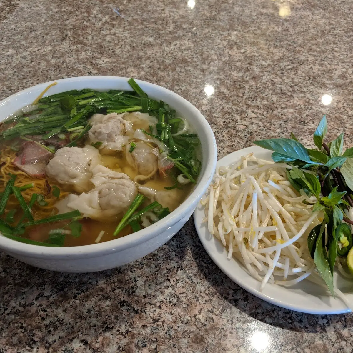 Wonton Soup