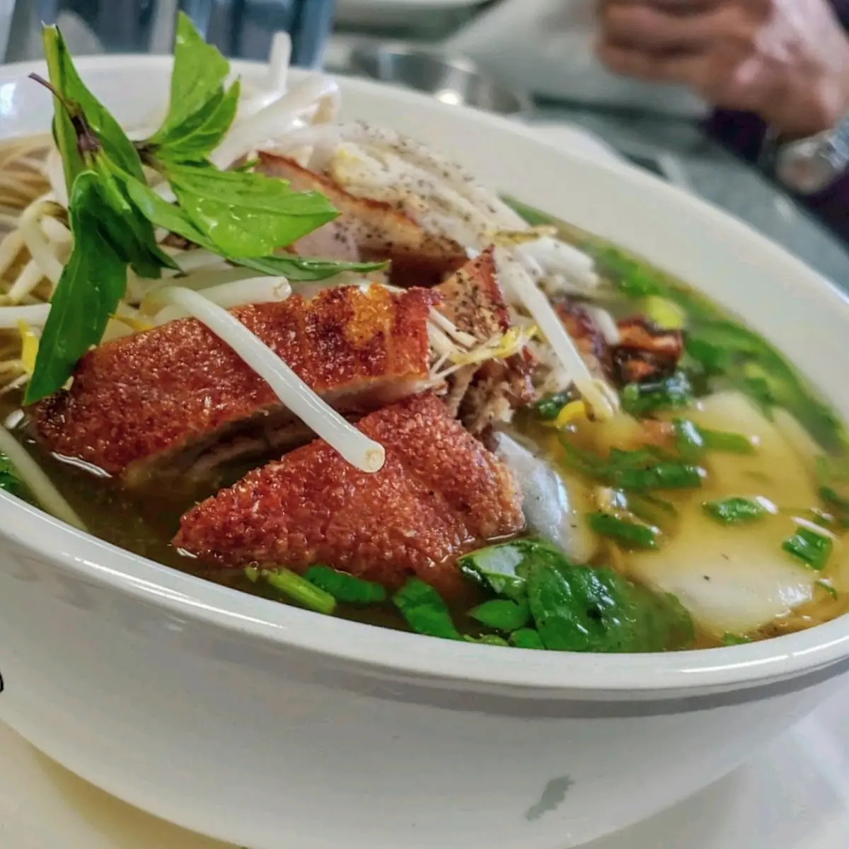 Duck Noodle Soup
