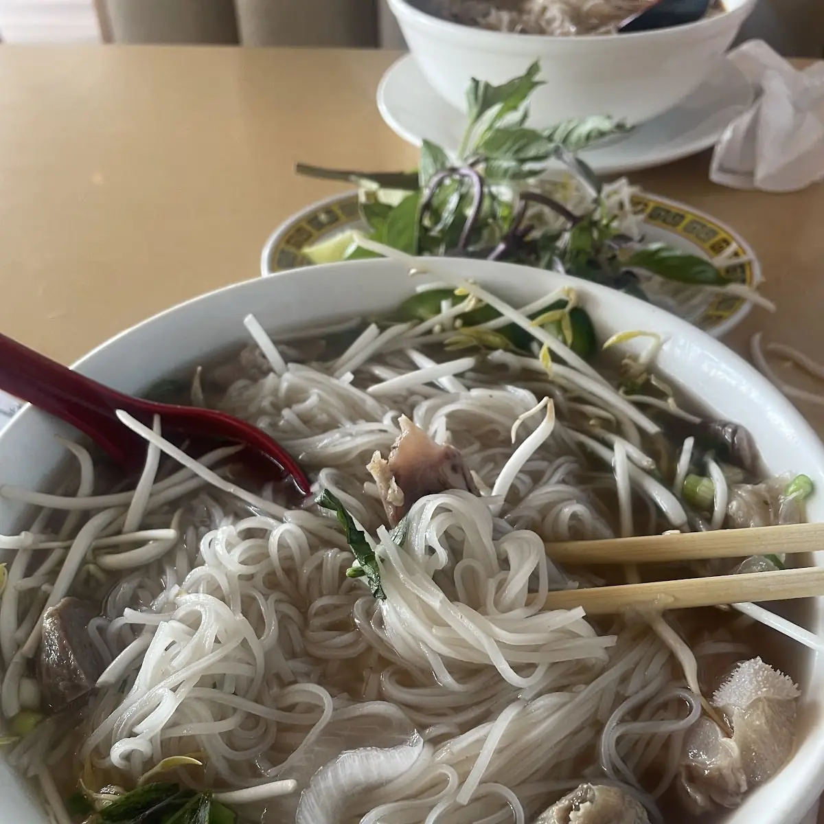 Steak Pho