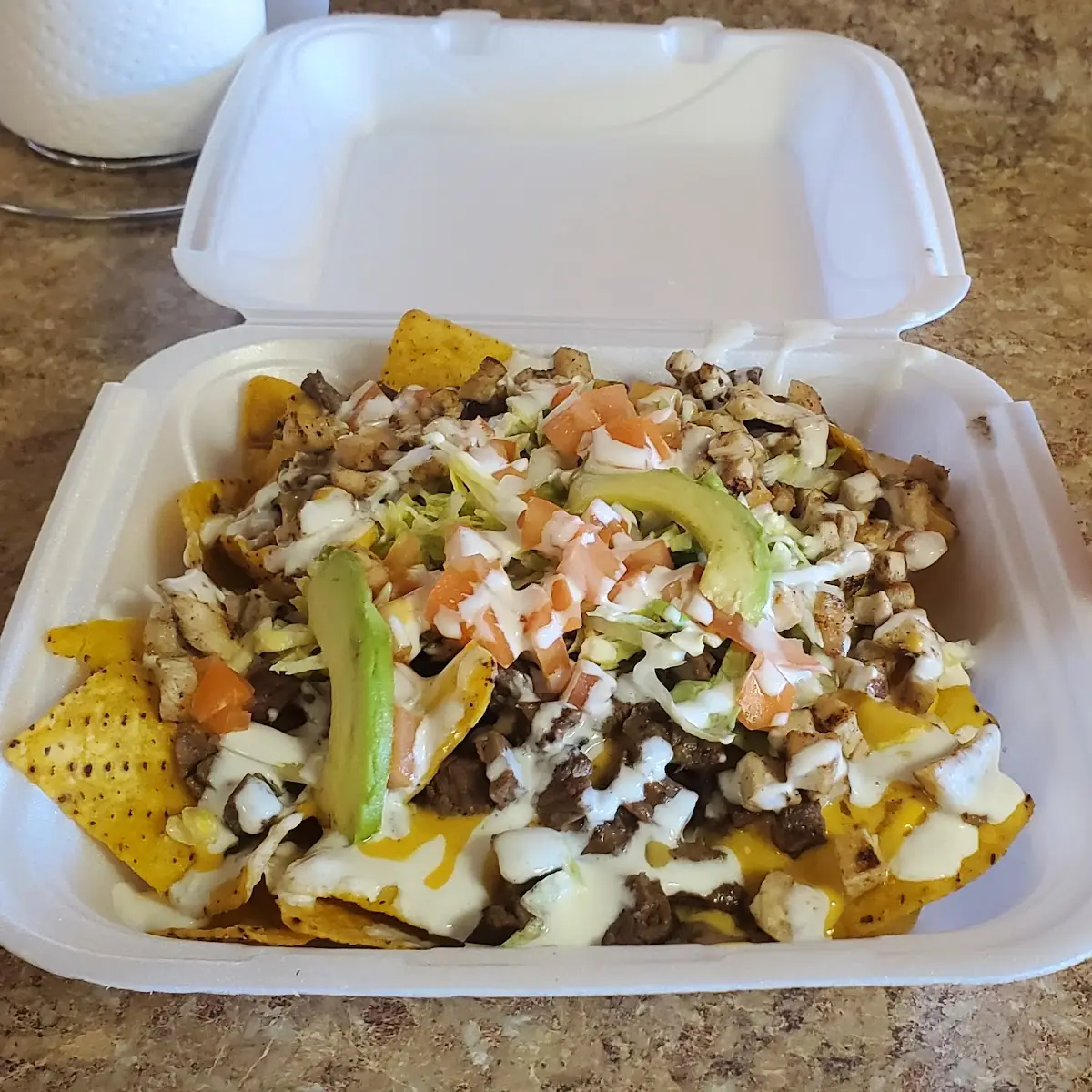 Carne Asada Fries