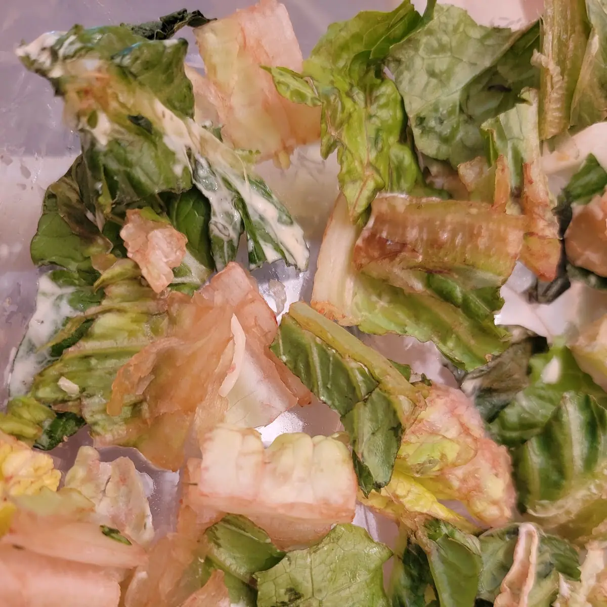 Caesar Salad