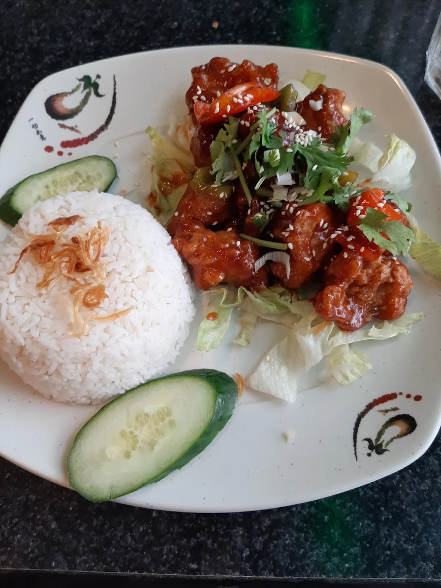 Poulet Général Viet Sur Riz Vapeur General Viet Chicken With Steamed Rice, Phở 88