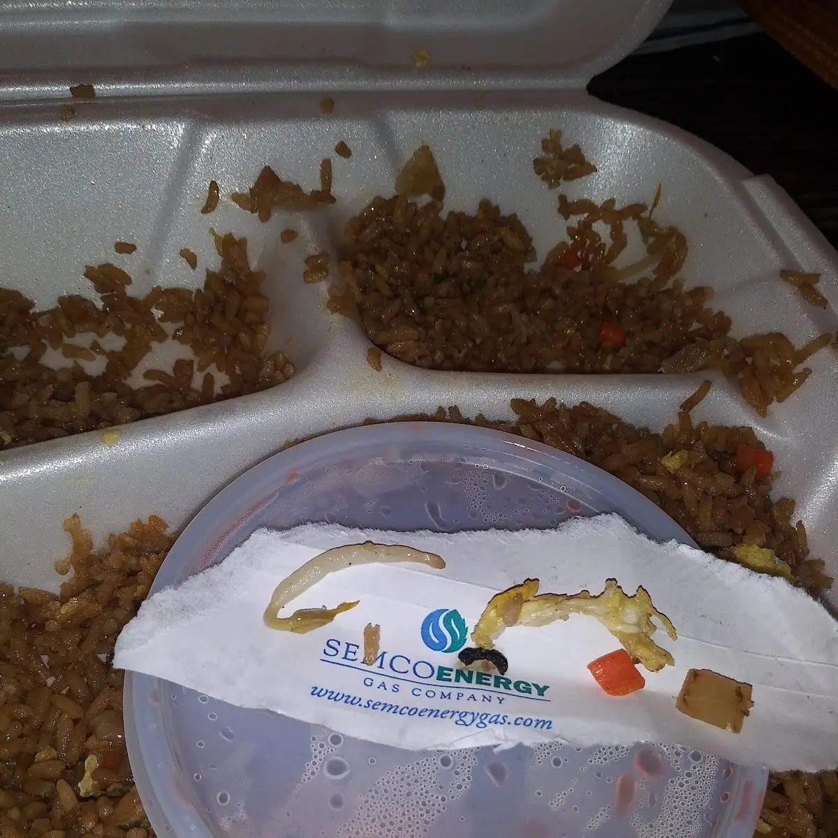 Sweet and Sour Chicken with Maggots