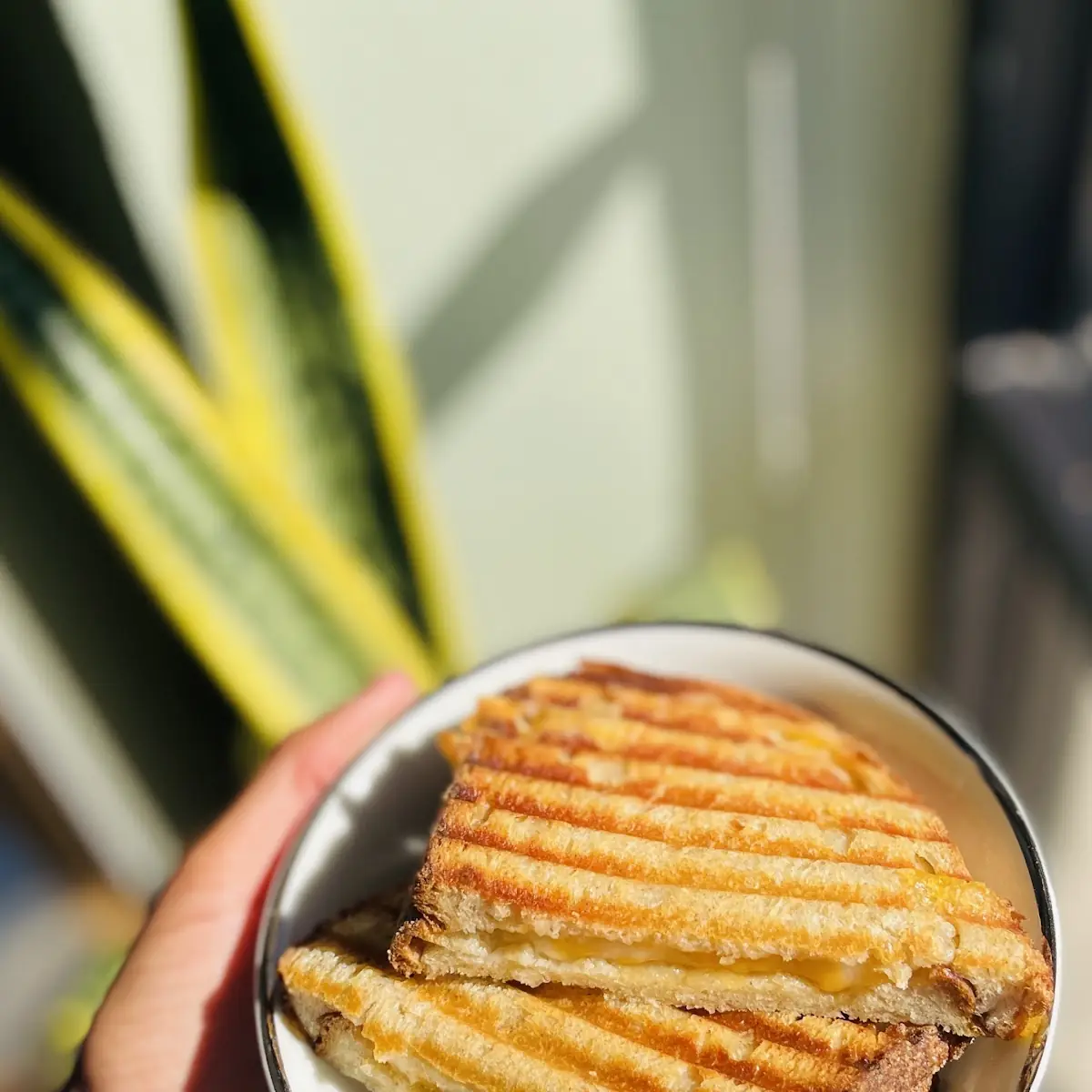 Sourdough Grilled Cheese