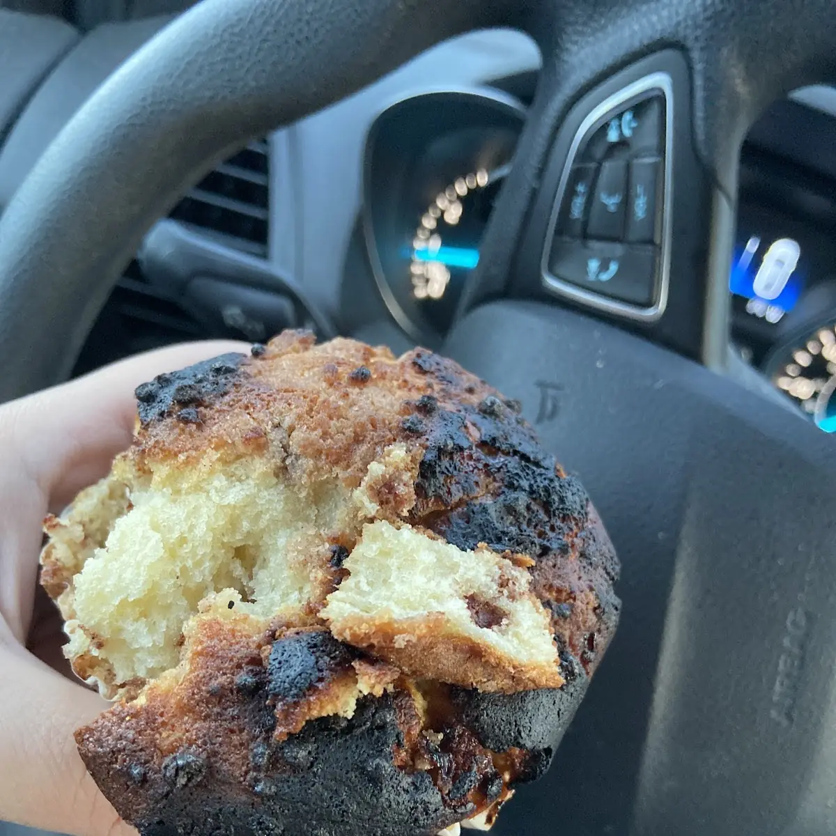 Blueberry Muffin