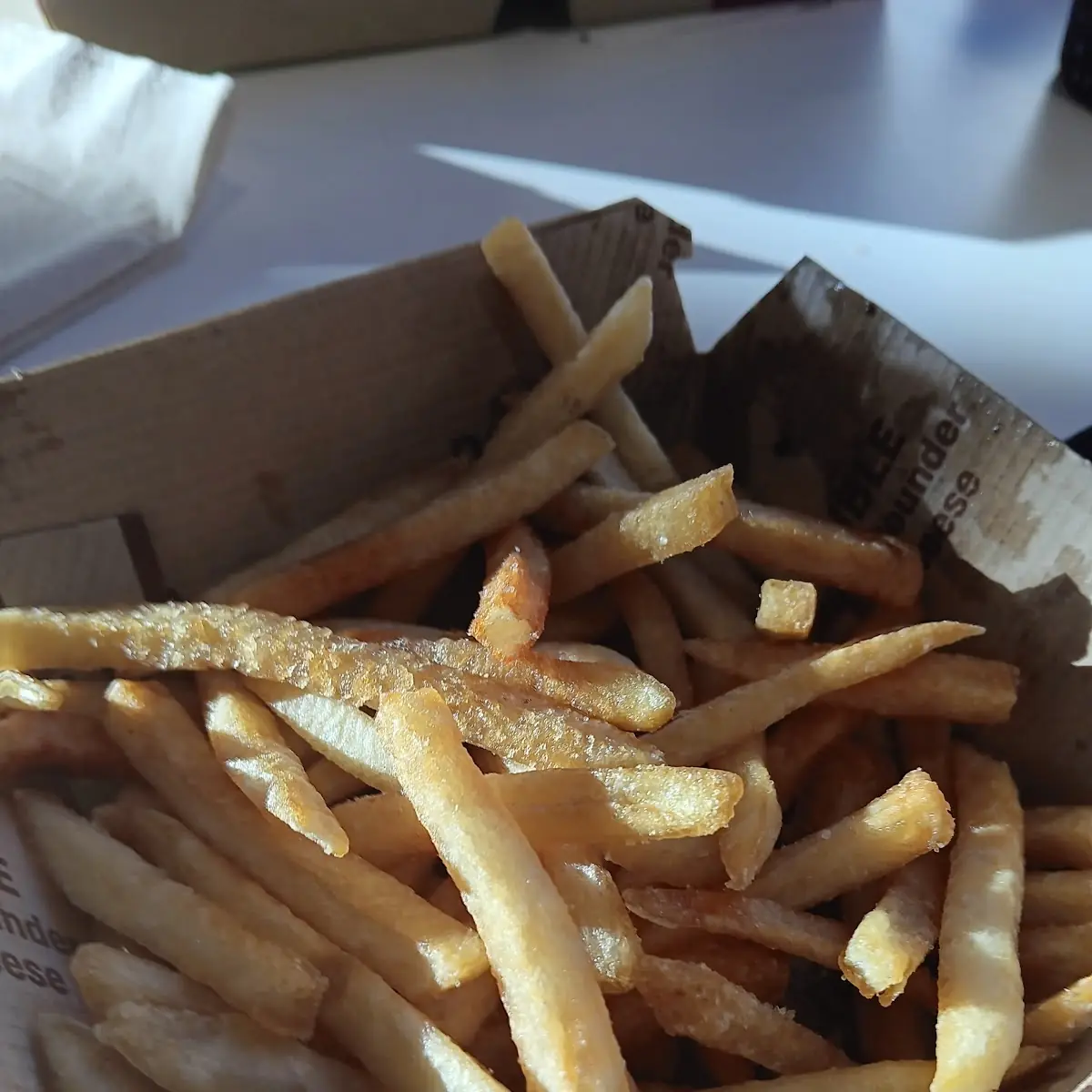 World Famous Fries