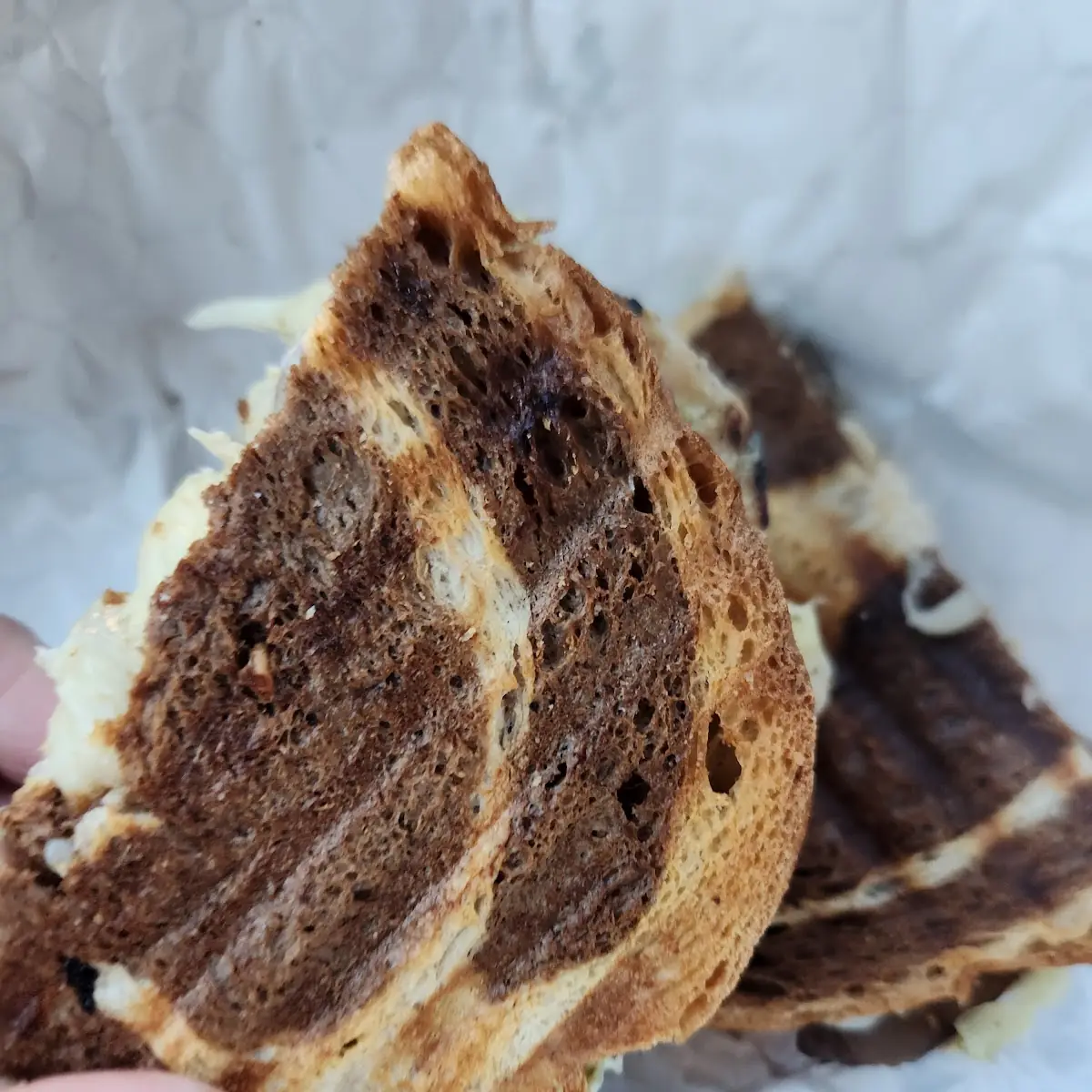 Pesto Chicken Mushroom Panini on Rye