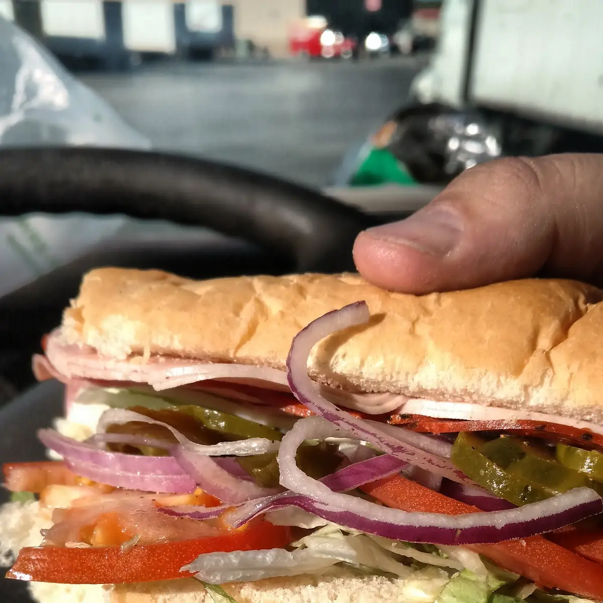 Dookie Veggie Sandwich