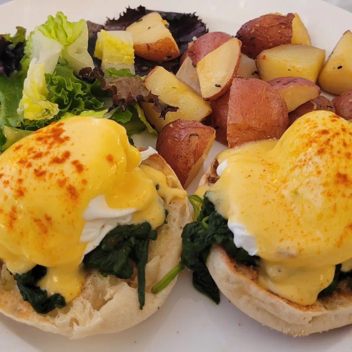 Poached Eggs Florintine