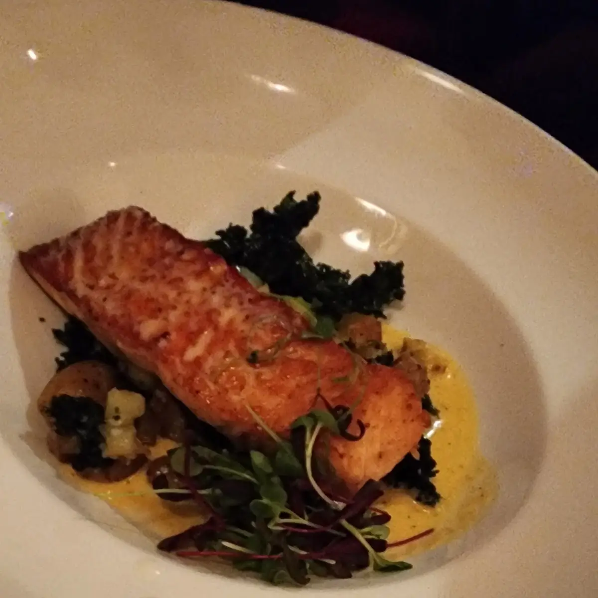 Corvina Sea Bass