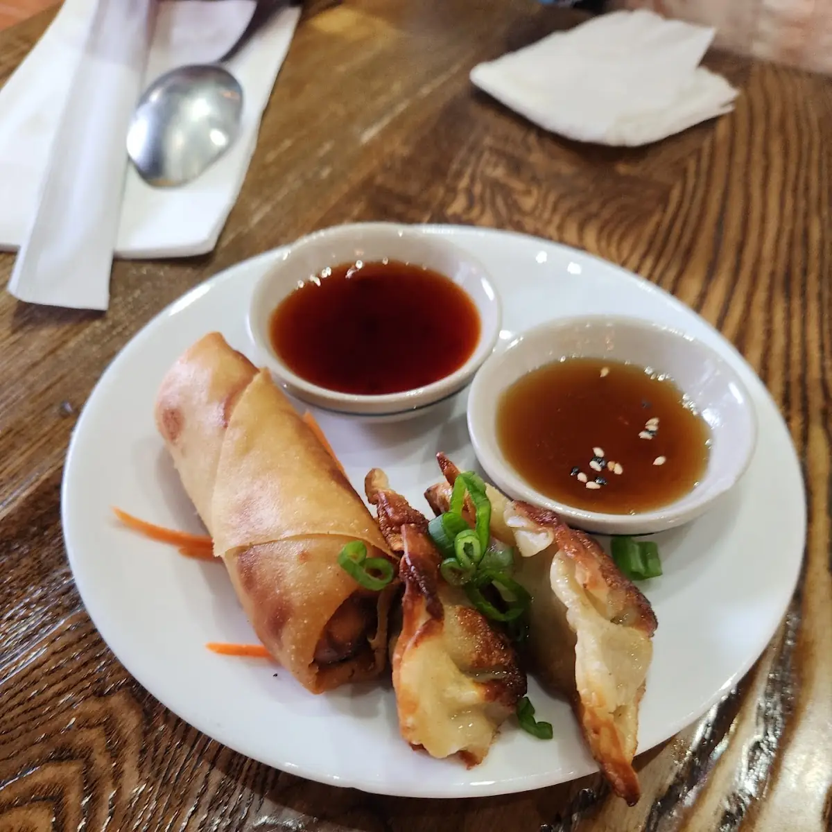 Spring Roll and Fried Pork Dumplings