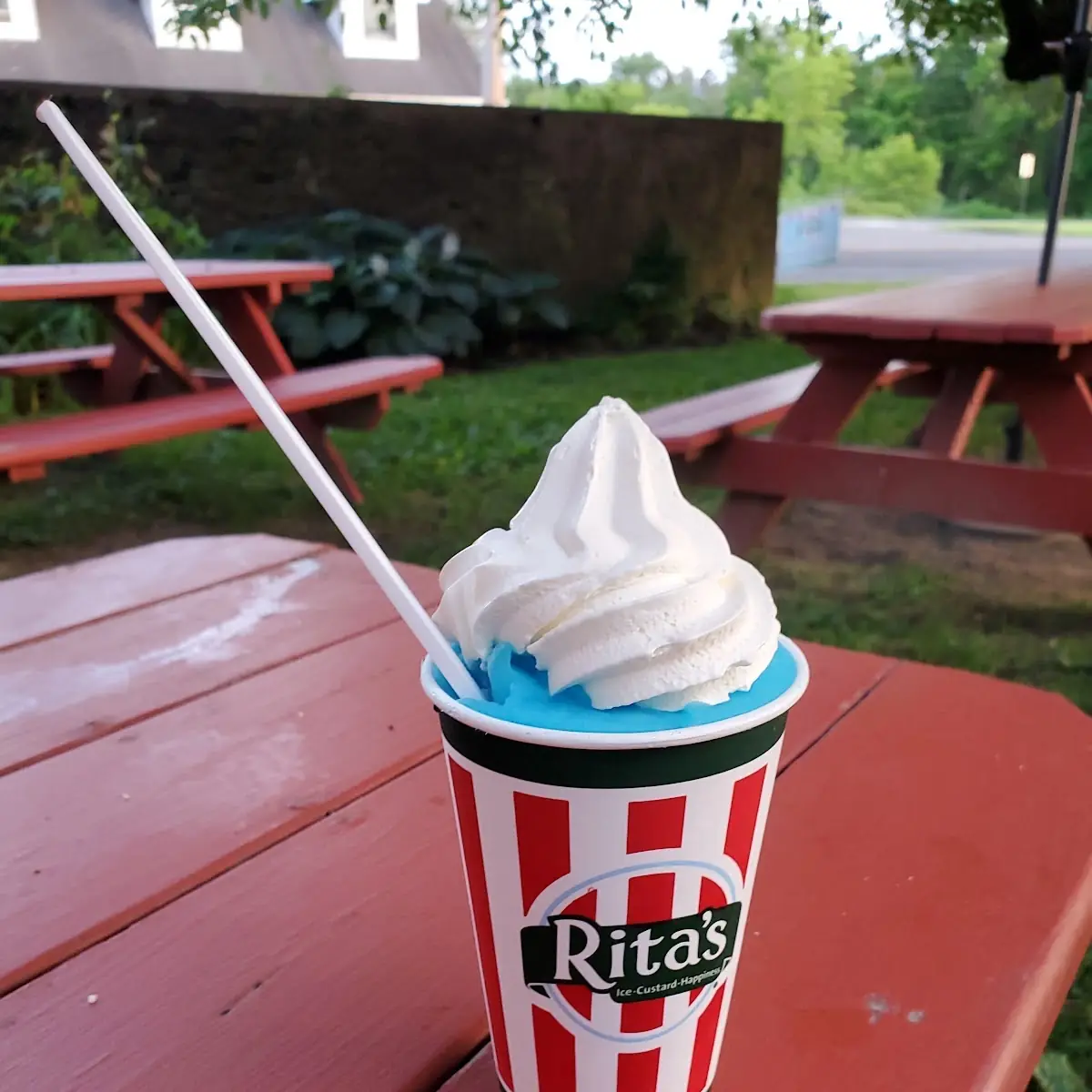 Blue Raspberry Ice Vanilla Custard Gelati