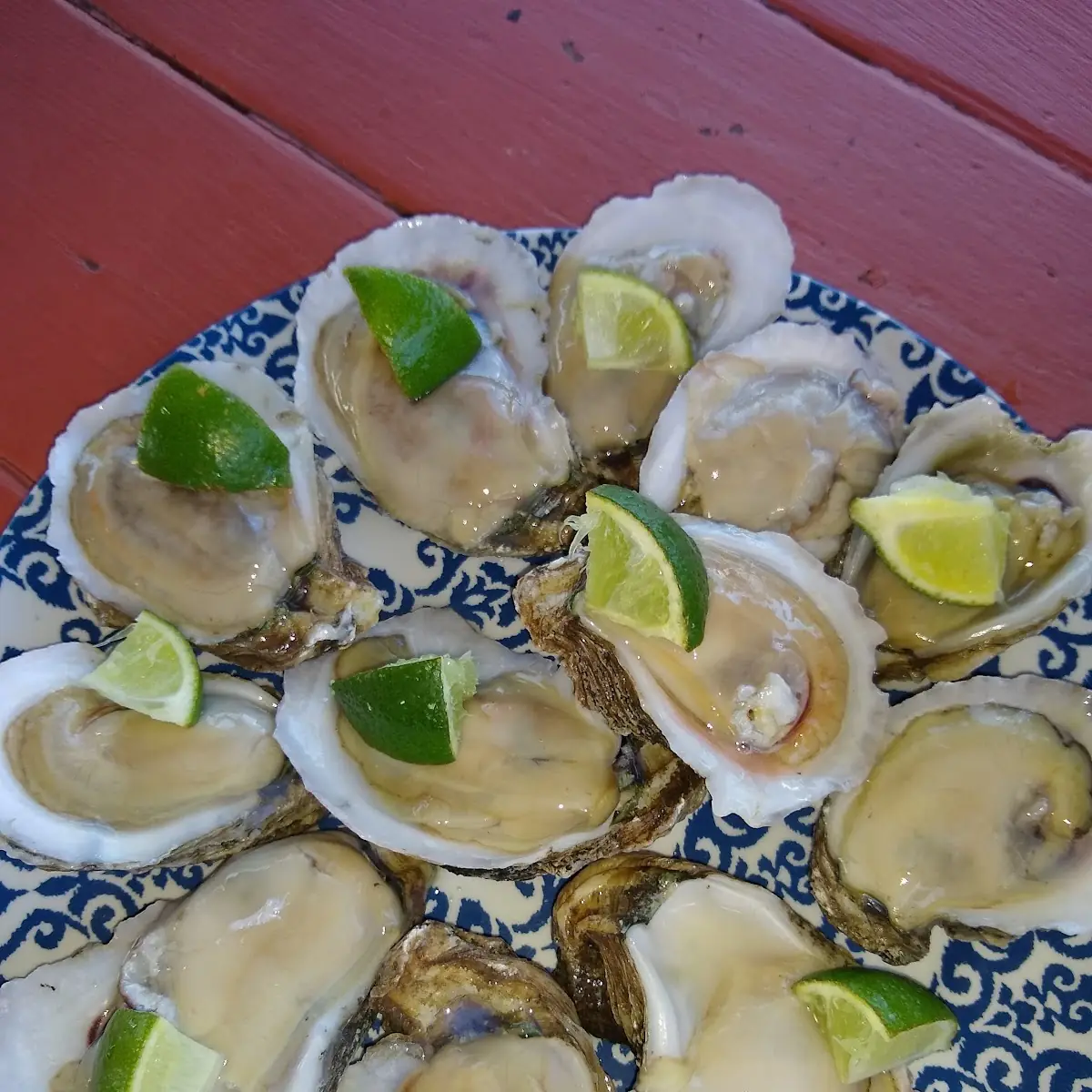 Oysters
