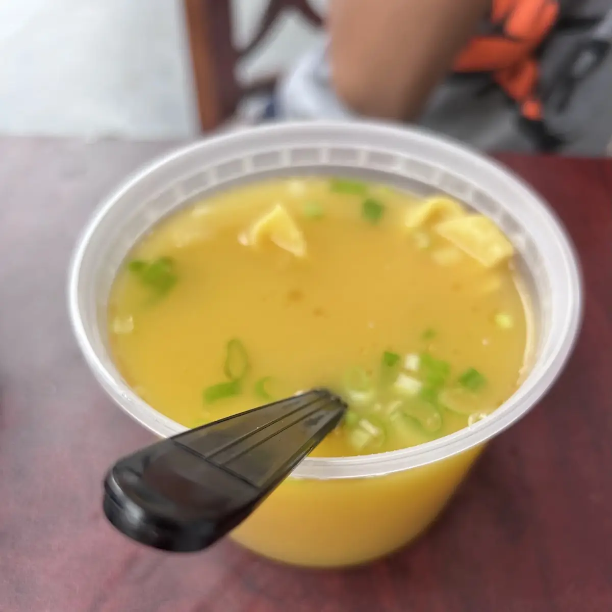 Wonton Soup