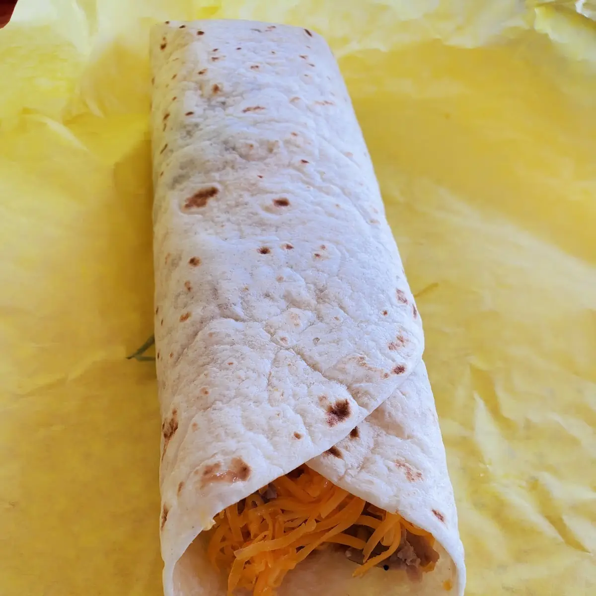 Carnitas Burrito