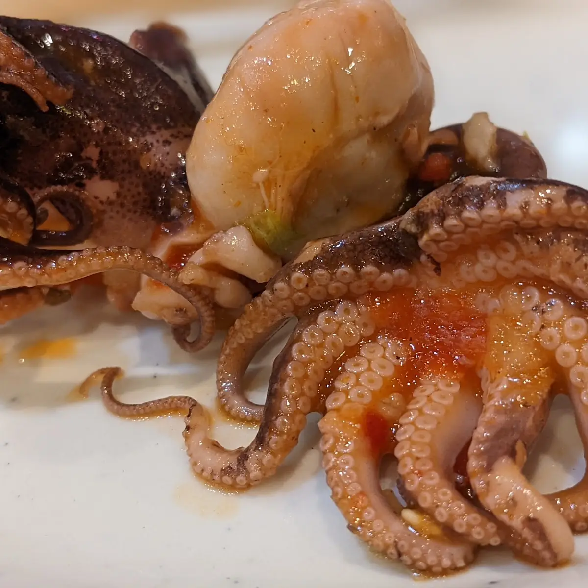 Octopus Salad