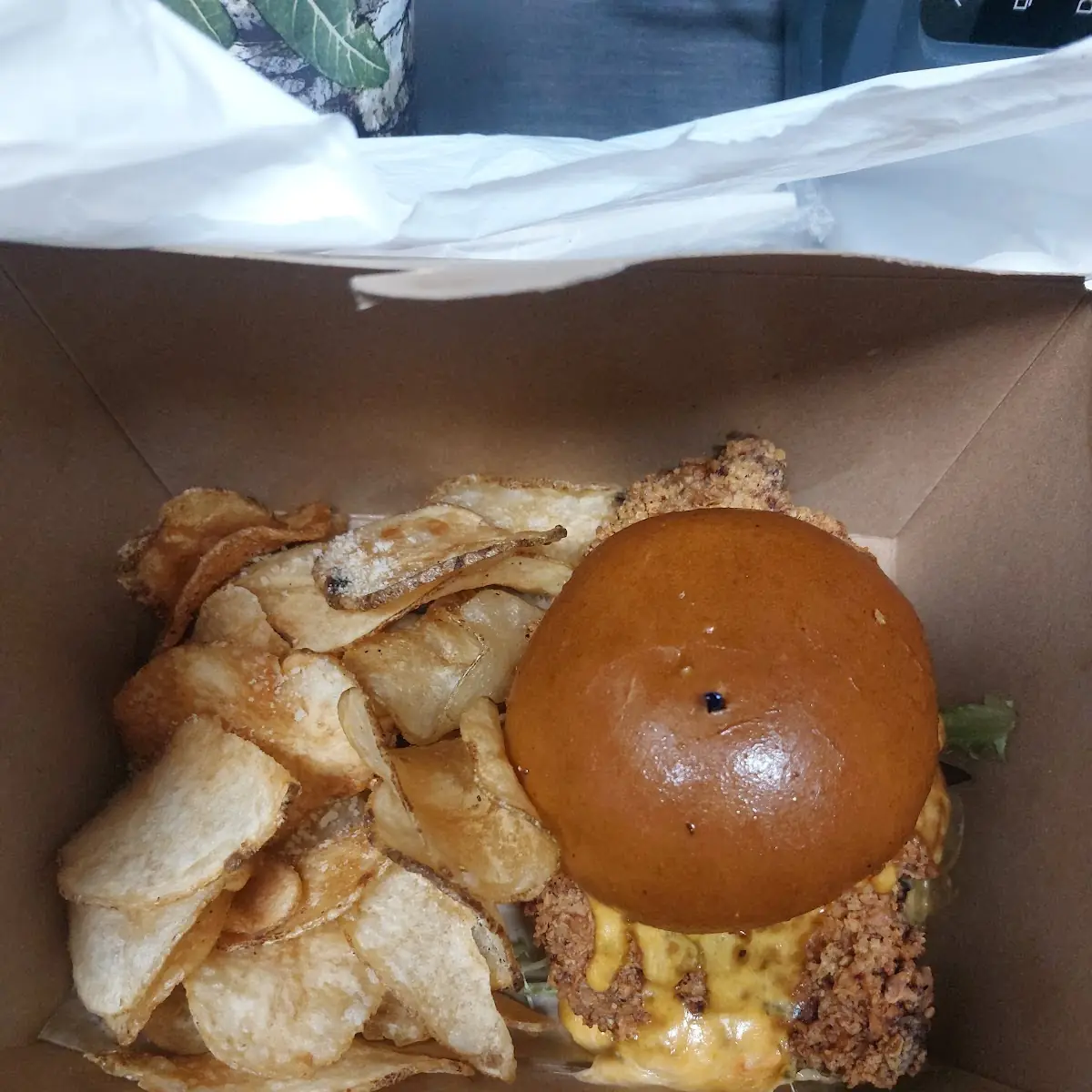 Plain Cheese Burger Meal