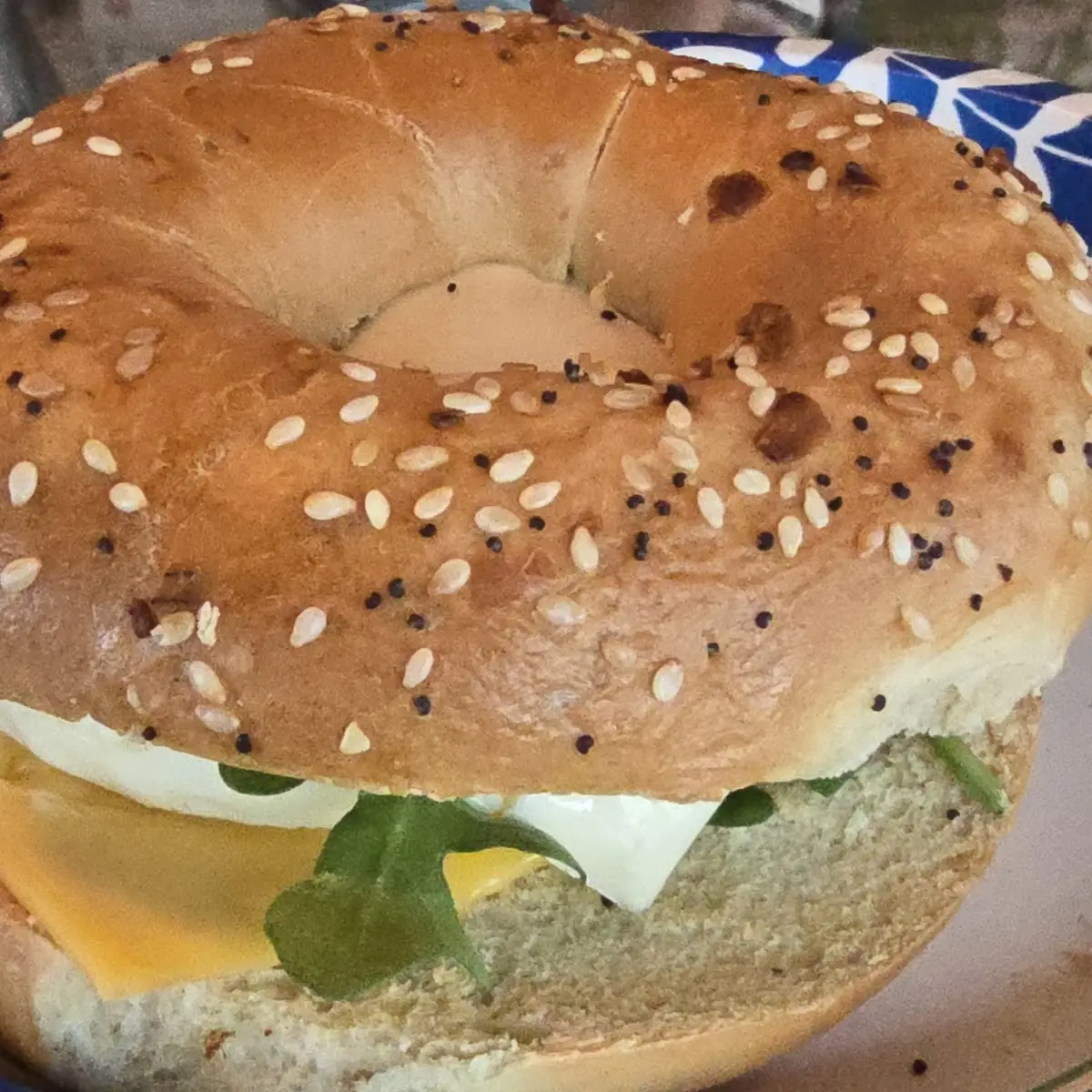 Plain Bagel