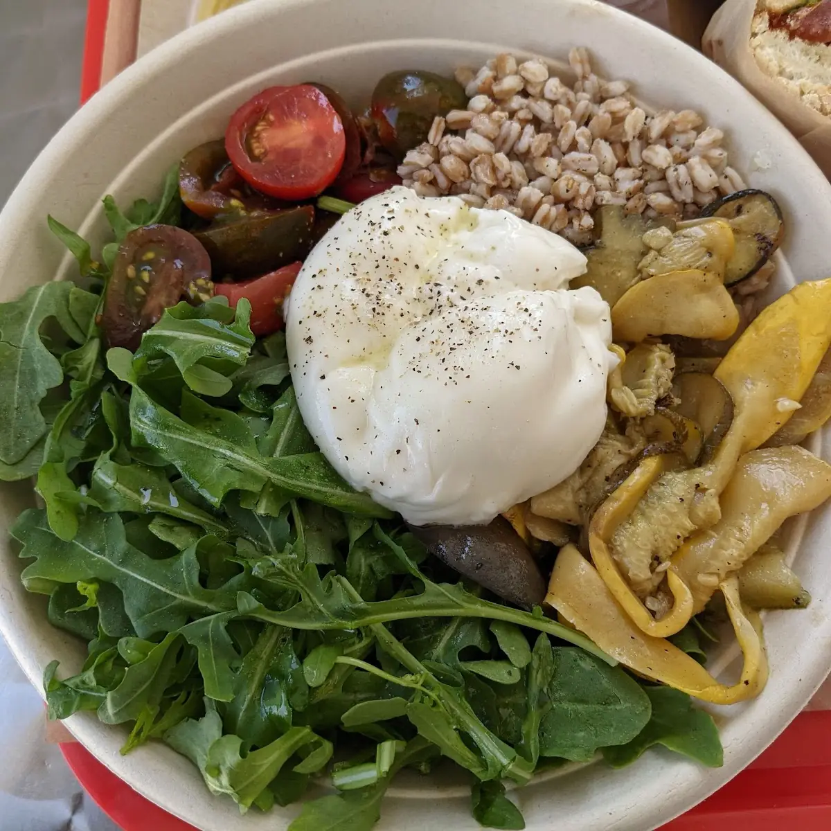 Grilled Veggies Burrata Bowl