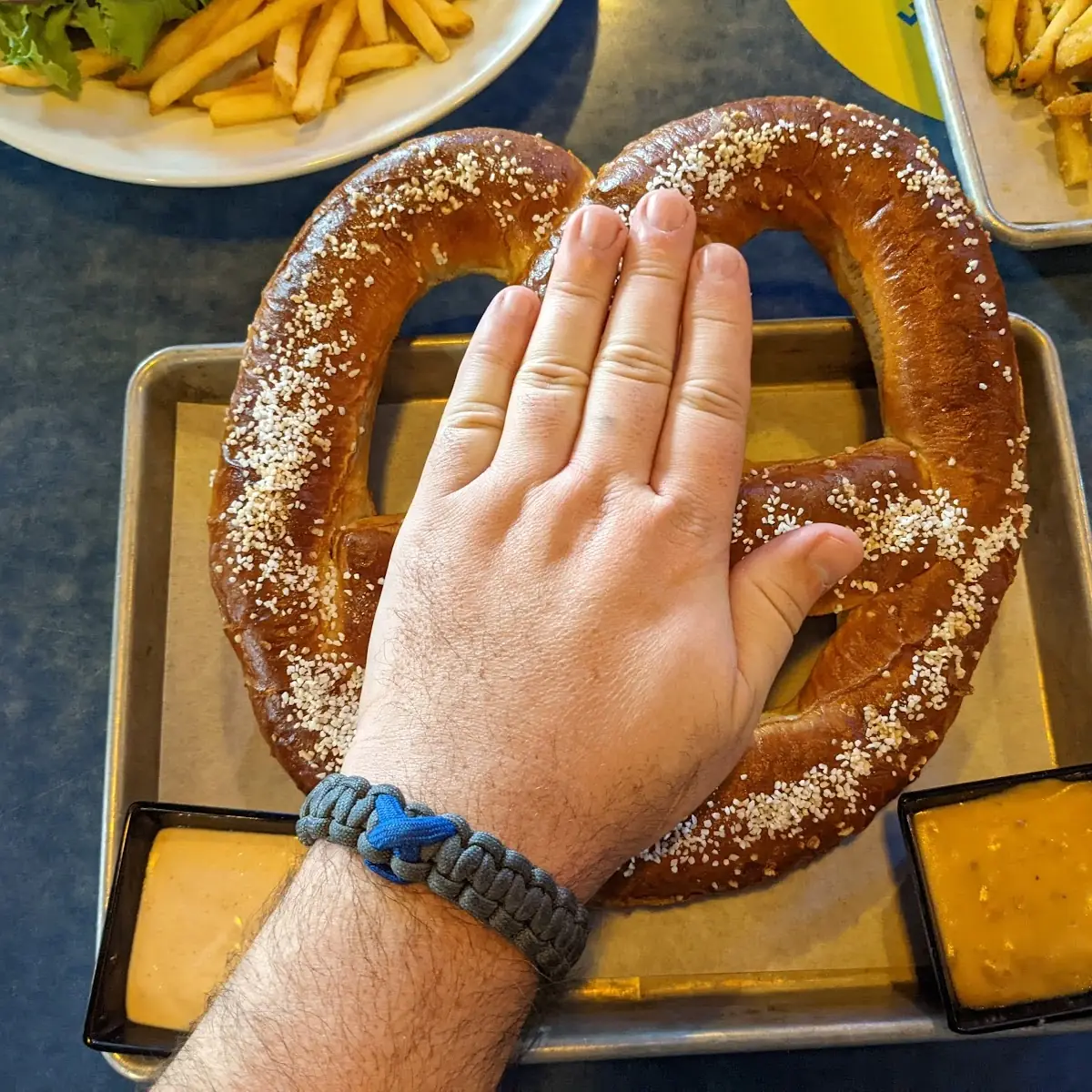 Bavarian Pretzel